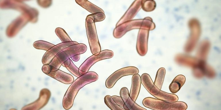 Cholera outbreak kills two inmates at Kano custodial centre