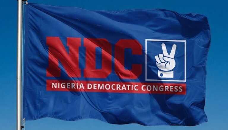 2027: NDC chairmen reject Obi-Kwankwaso structures