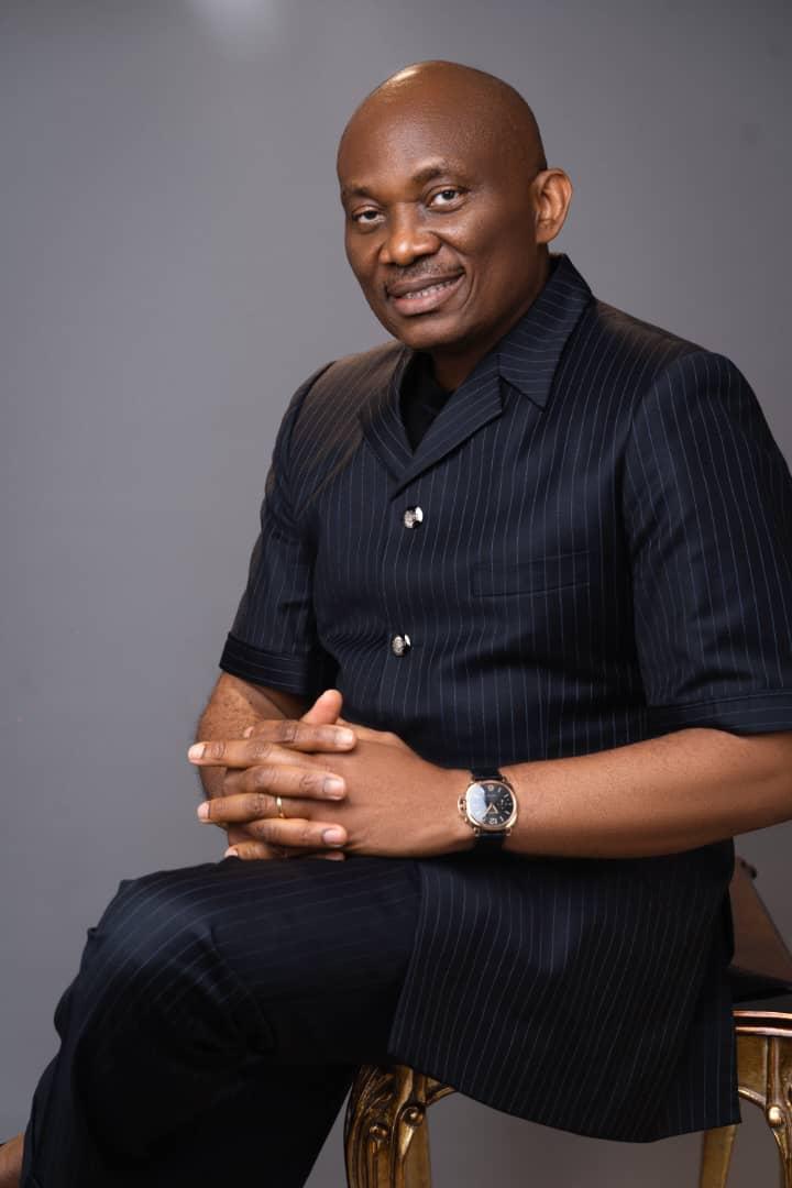 State Police: Elumelu Demands Safeguards Against Political Interference State Police: Elumelu Demands Safeguards Against Political Interference
